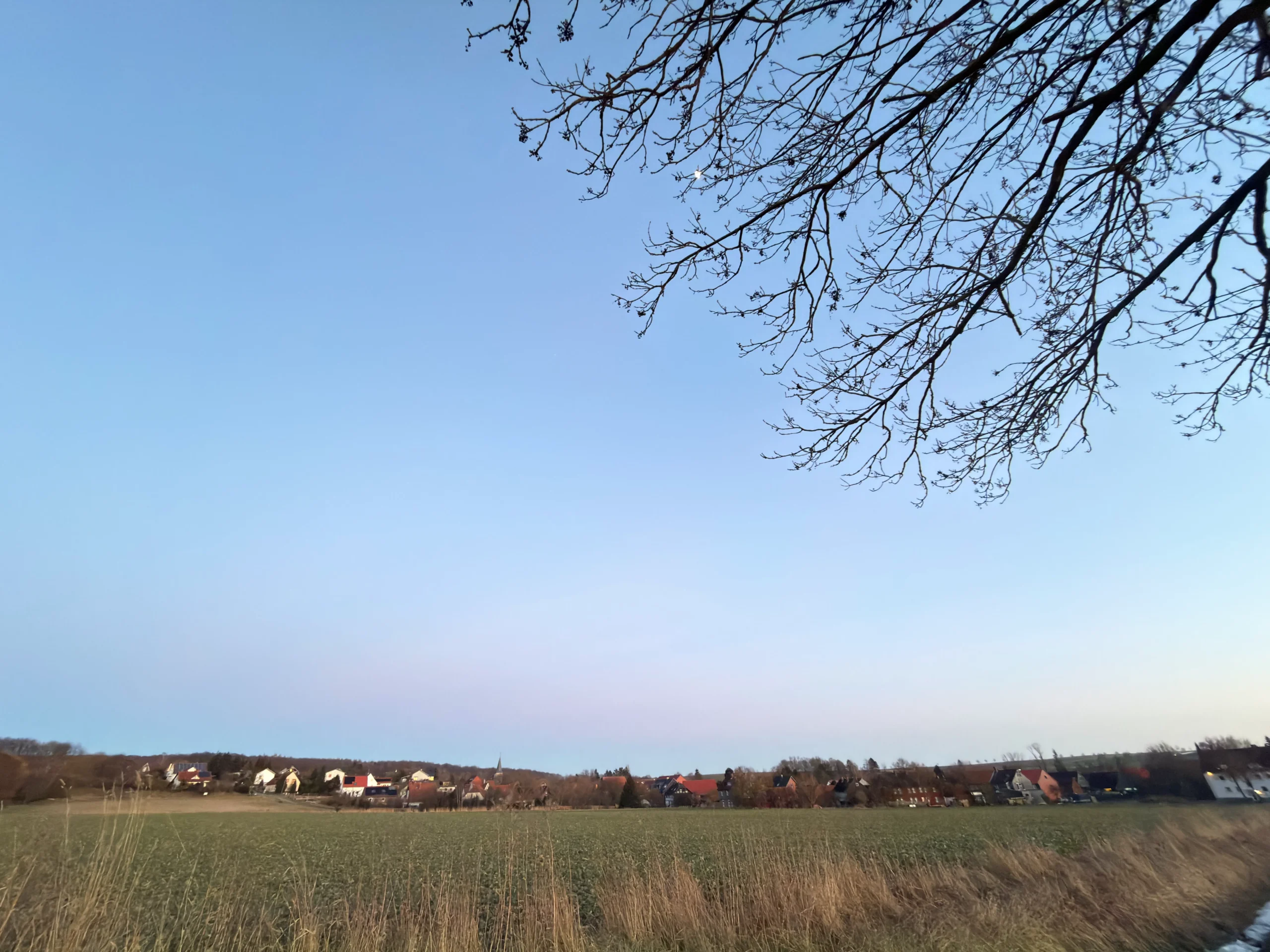 Surrounding Woods