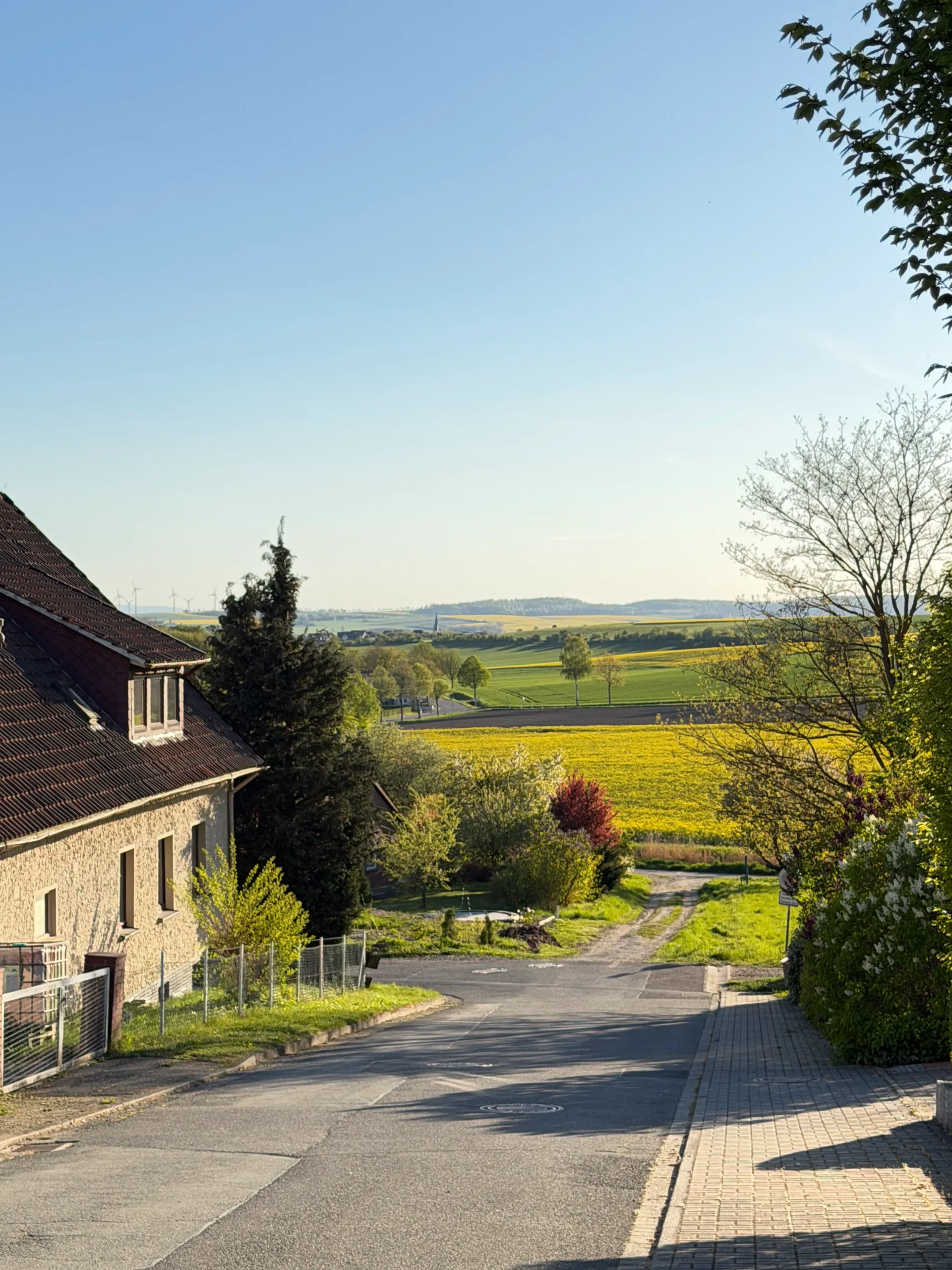 Lawn View