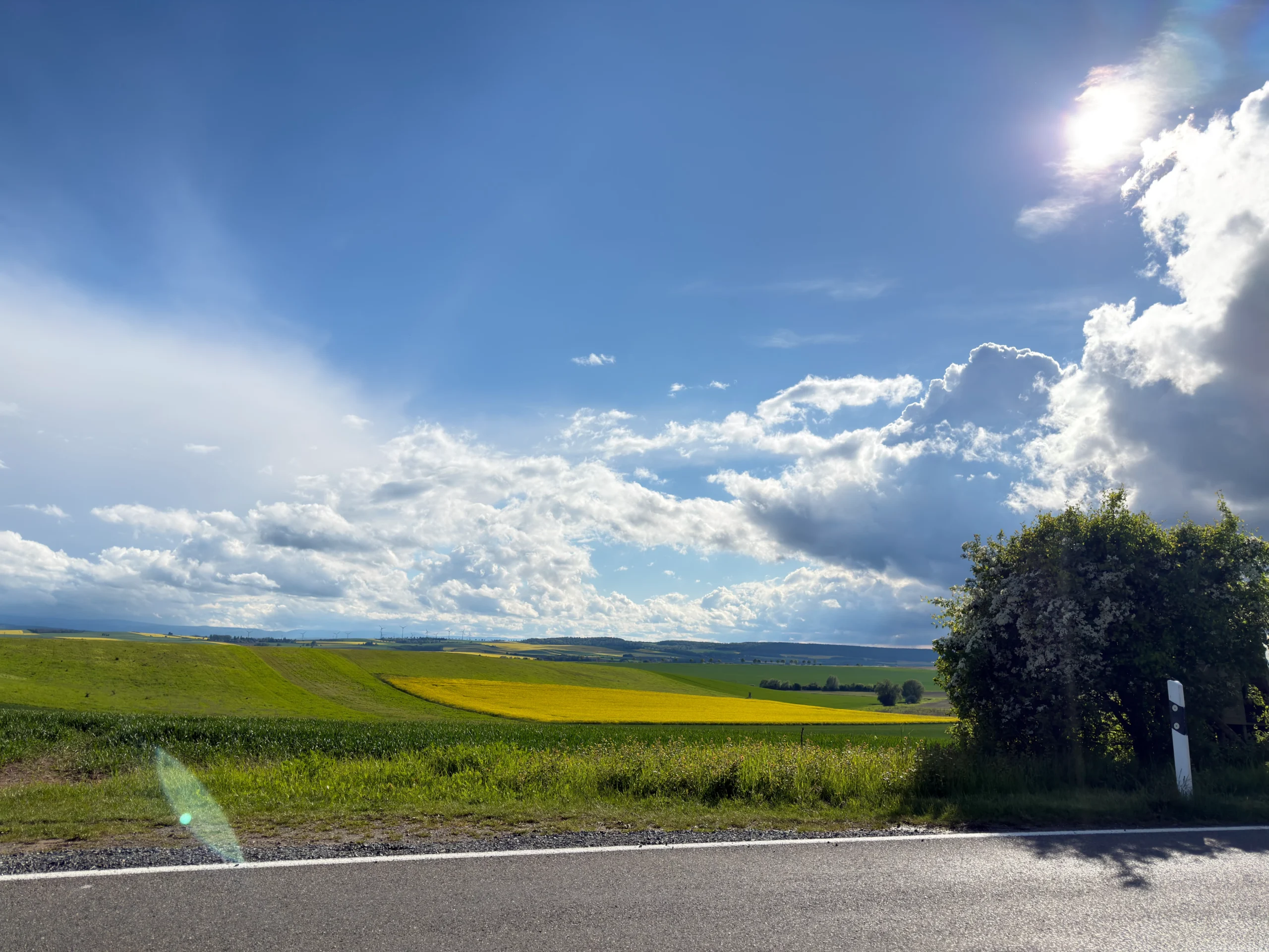 Parkview Landscape