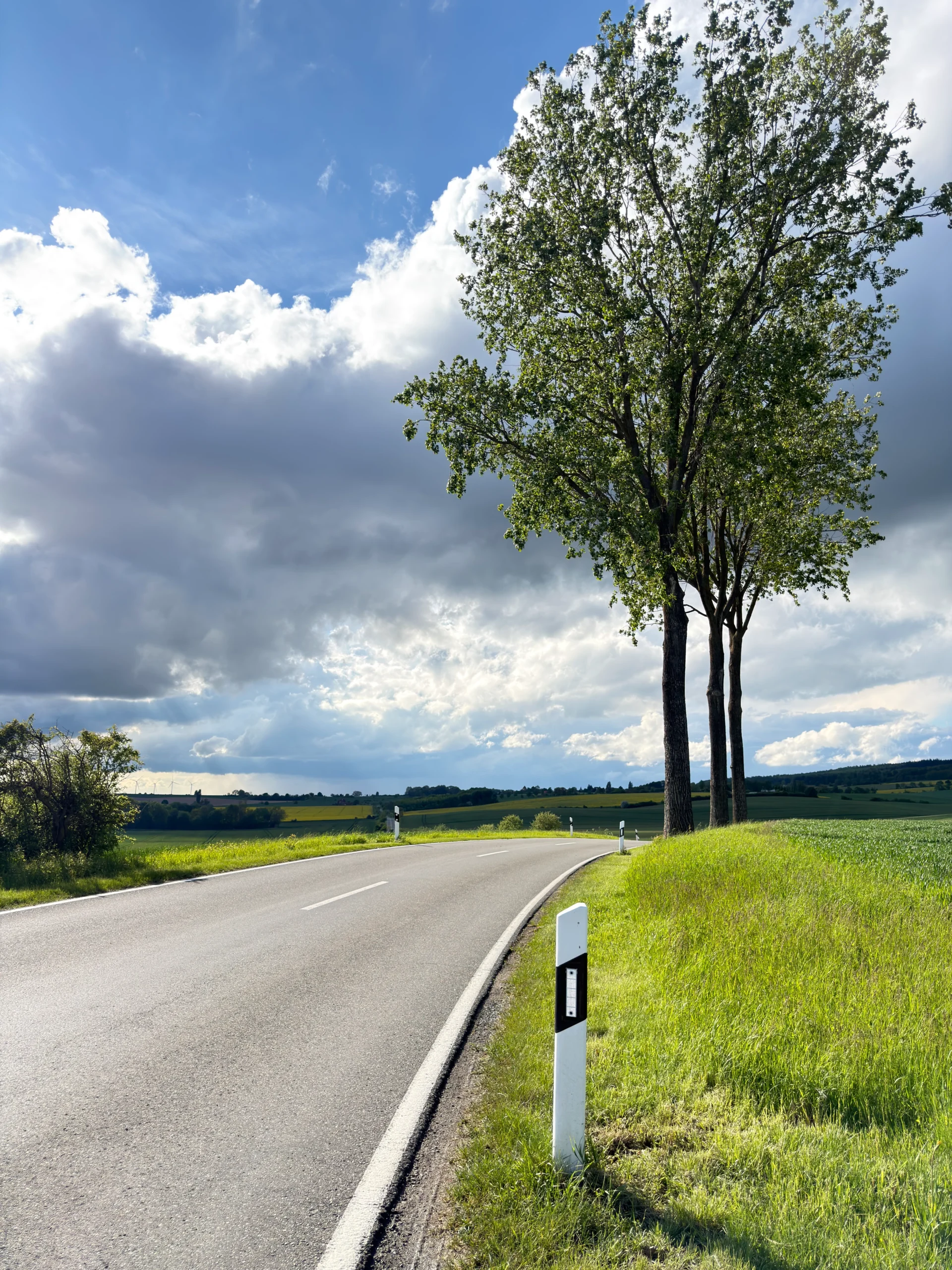 Nature Panorama