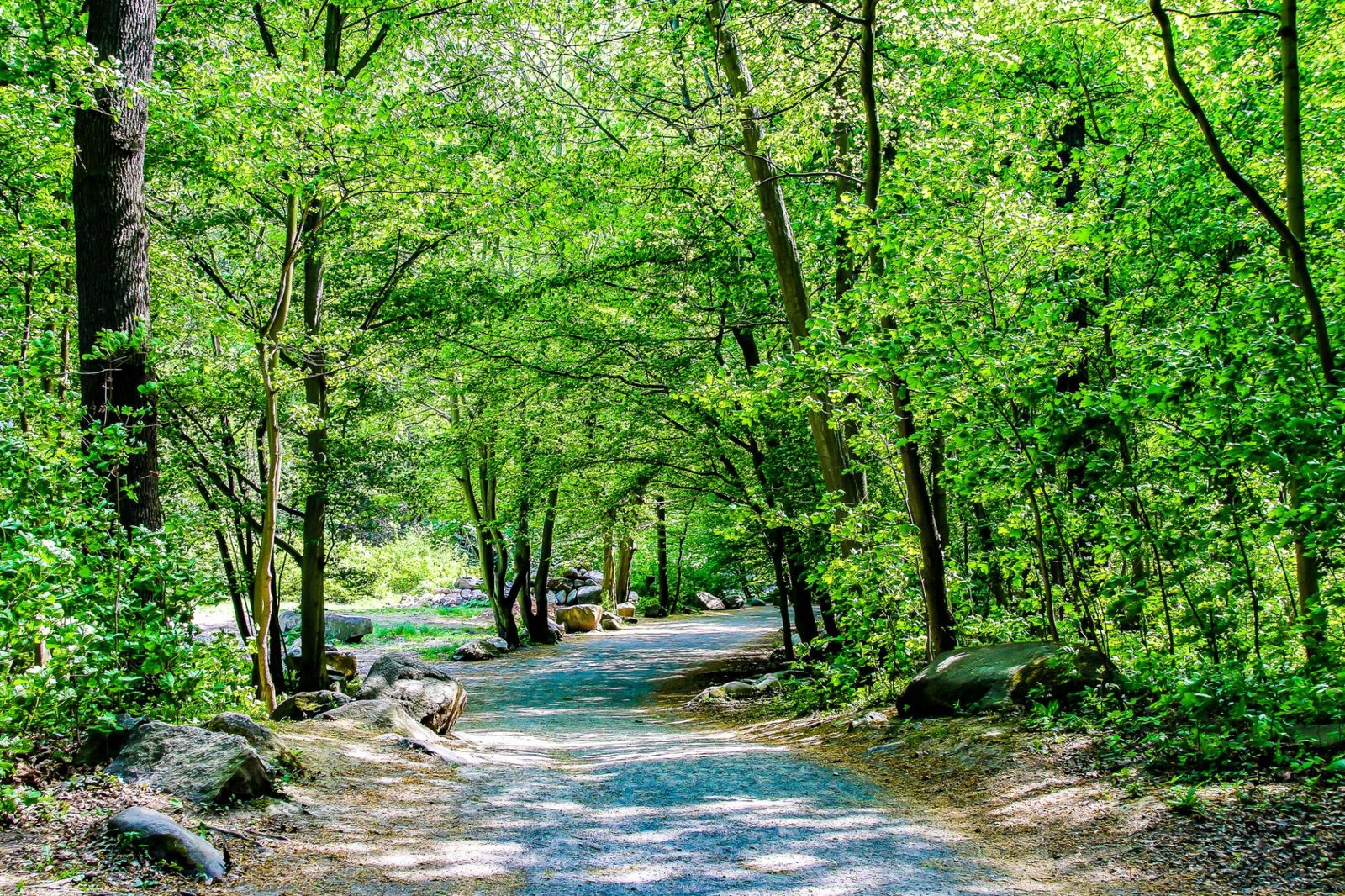 Nature