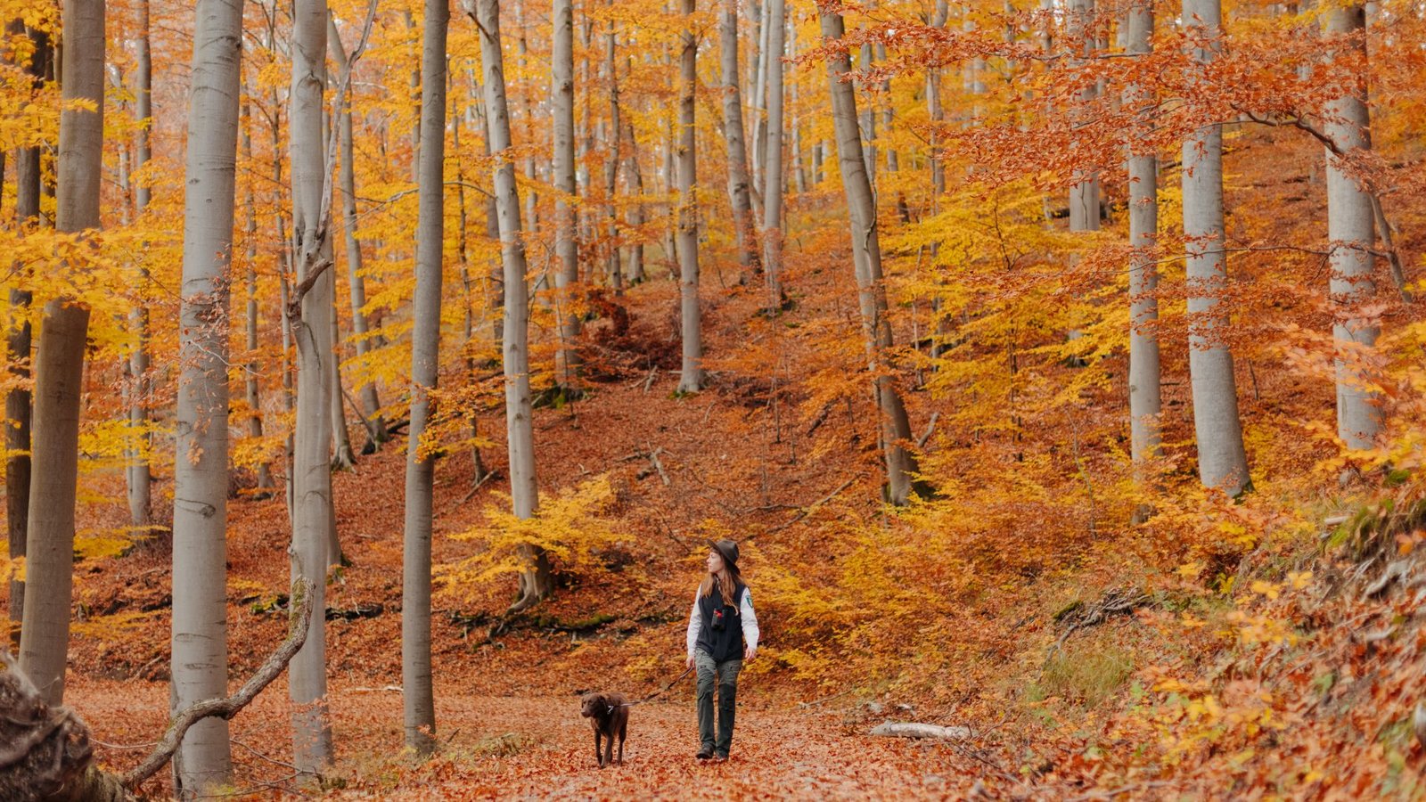 Long Distance Trail